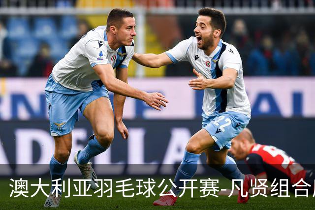 澳大利亚羽毛球公开赛-凡贤组合鏖战进决赛 混双中国揽冠亚